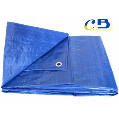 TOLDO AZUL 2M x 3M 90G