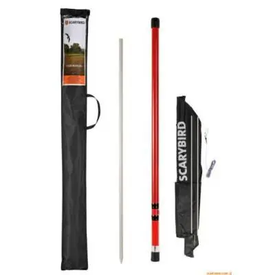 SCARYBIRD, COMETA PAJAROS...