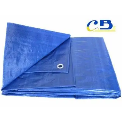 TOLDO AZUL 6M x 10M 90G
