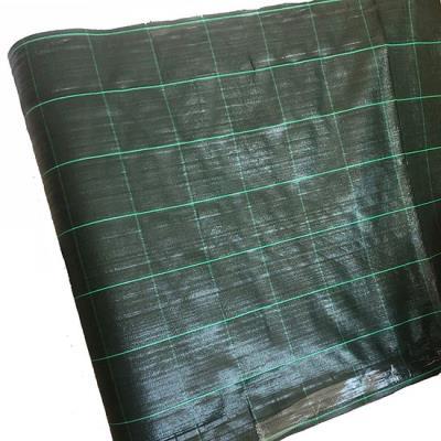 MALLA ANTIHIERBA 1,00x100M...