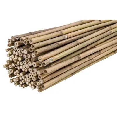 TUTOR BAMBU 120CM 12/14 -...
